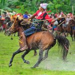 Pasola Sumba/Sumber Wikipedia