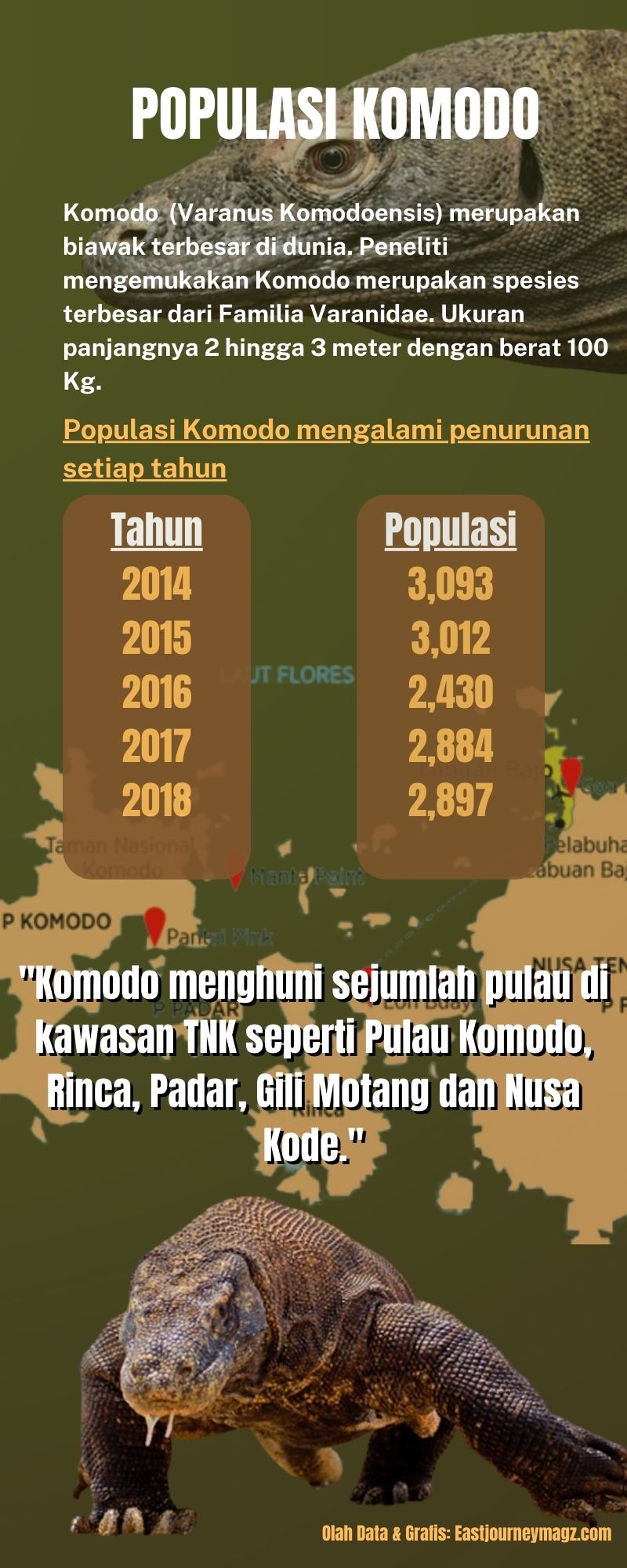 Infografis: Jumlah Komodo di Taman Nasional Komodo