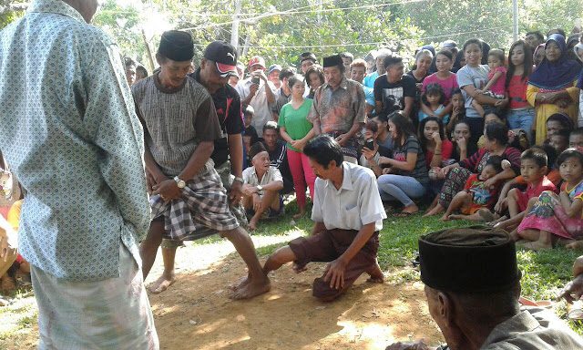 Tradisi Mallanca, Tradisi Adu Betis yang hanya ada di Sulawesi Selatan